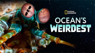Oceans Weirdest S01
